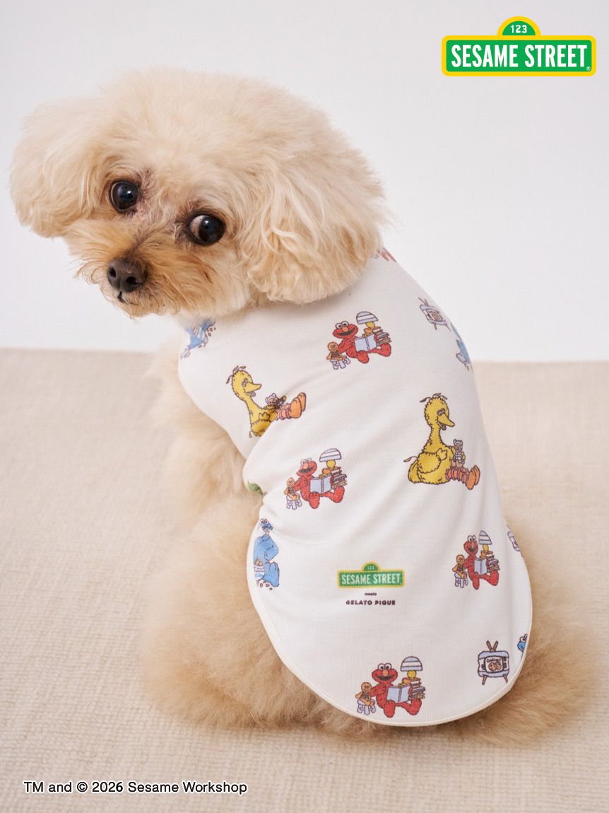 SESAME STREET】【CAT＆DOG】カットソープルオーバー(ウェア)｜ルーム