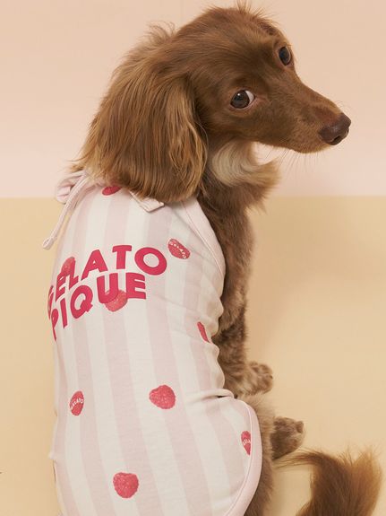 ウェア ( CAT＆DOG)｜ルームウェア・パジャマ通販のgelatopique