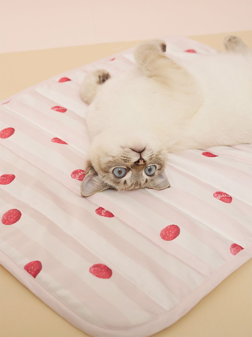 CAT&DOG】【接触冷感】 Coolingマット(ベッド・ハウス)｜ルームウェア