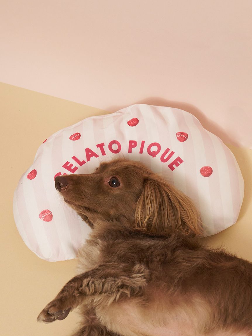 CAT&DOG】【接触冷感】 Coolingピロー(ベッド・ハウス)｜ルームウェア