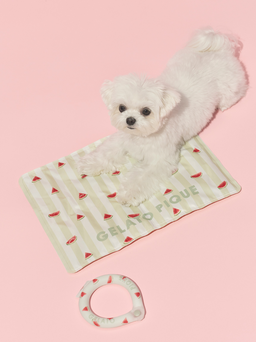 dog」に該当する ｜ルームウェア・パジャマ通販のgelatopique