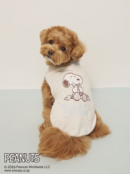 すべてのカテゴリ【ジェラート ピケ キャット＆ドッグ】夏に快適な