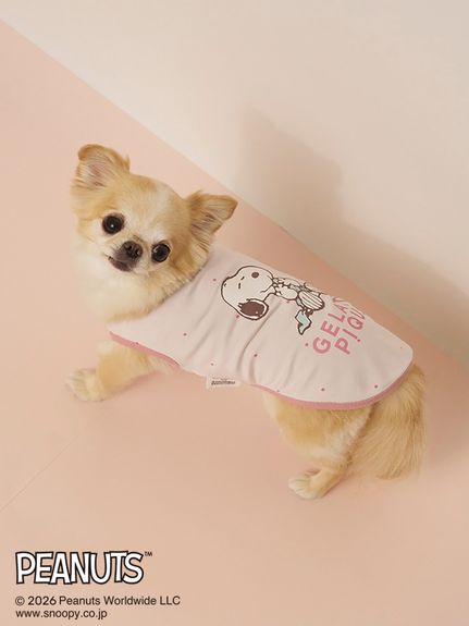 すべてのカテゴリ【ジェラート ピケ キャット＆ドッグ】夏に快適な