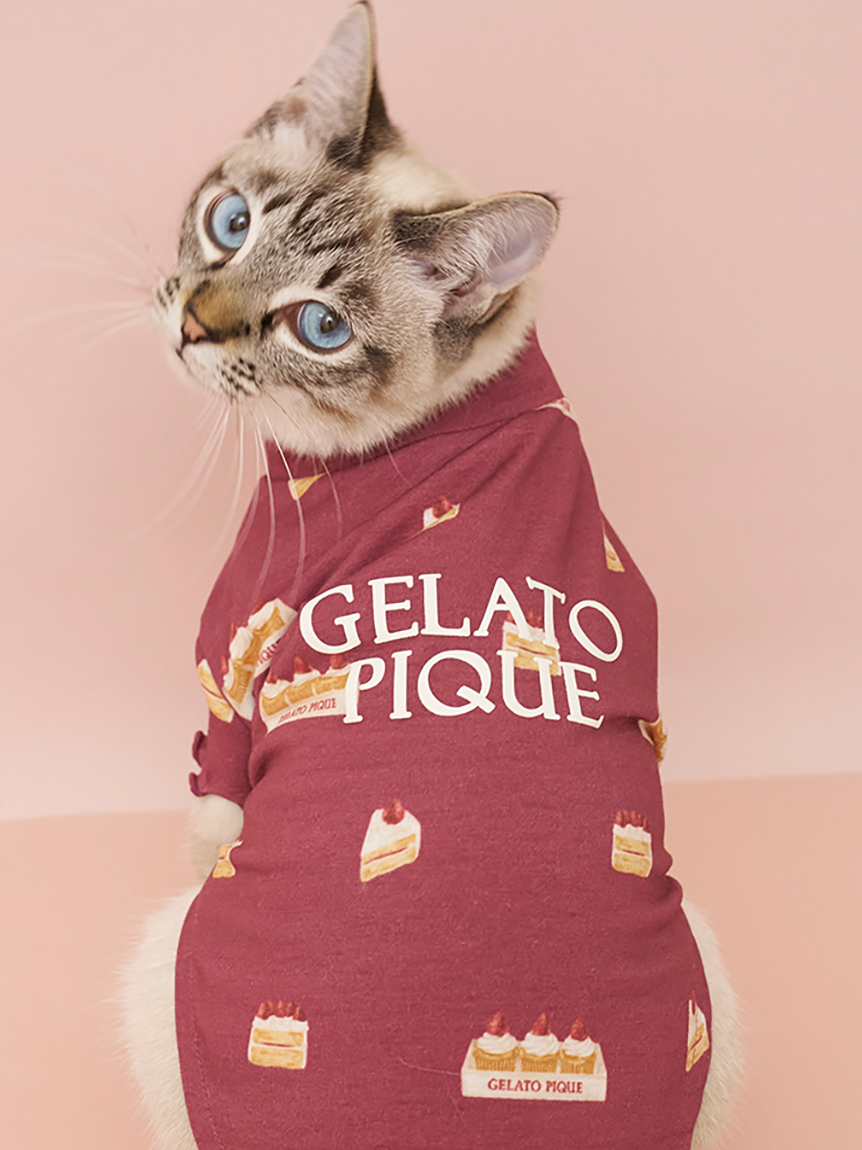 CAT＆DOG ｜ルームウェア・パジャマ通販のgelatopique（ジェラートピケ