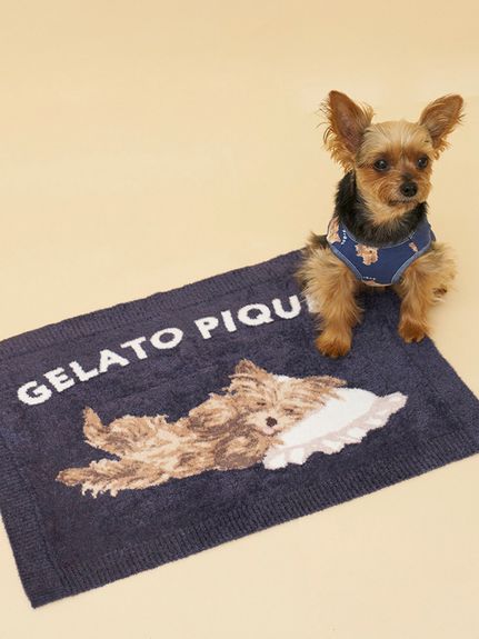 CAT＆DOG ｜ルームウェア・パジャマ通販のgelatopique（ジェラートピケ