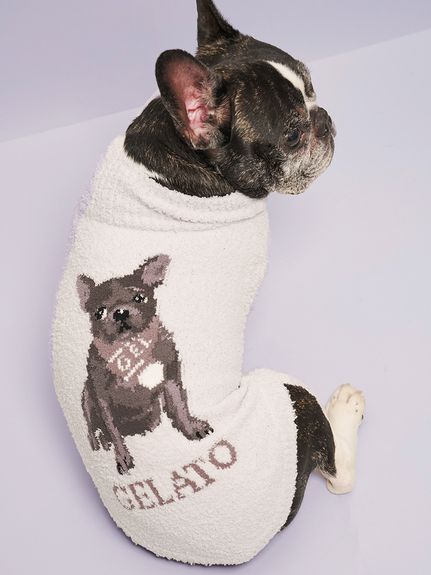 CAT＆DOG ｜ルームウェア・パジャマ通販のgelatopique（ジェラートピケ