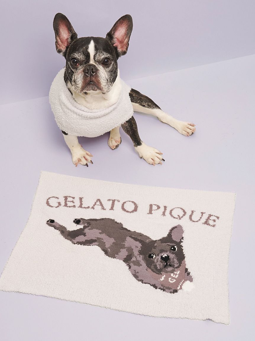 CAT&DOG】ベビモコフレンチブルドッグ柄ブランケット(グッズ)｜ルーム