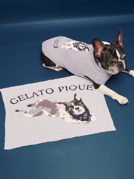 gelato pique 猫 マザーズベビーセット✧*。 グッズ ( CAT＆DOG)｜ルームウェア・パジャマ通販のgelatopique