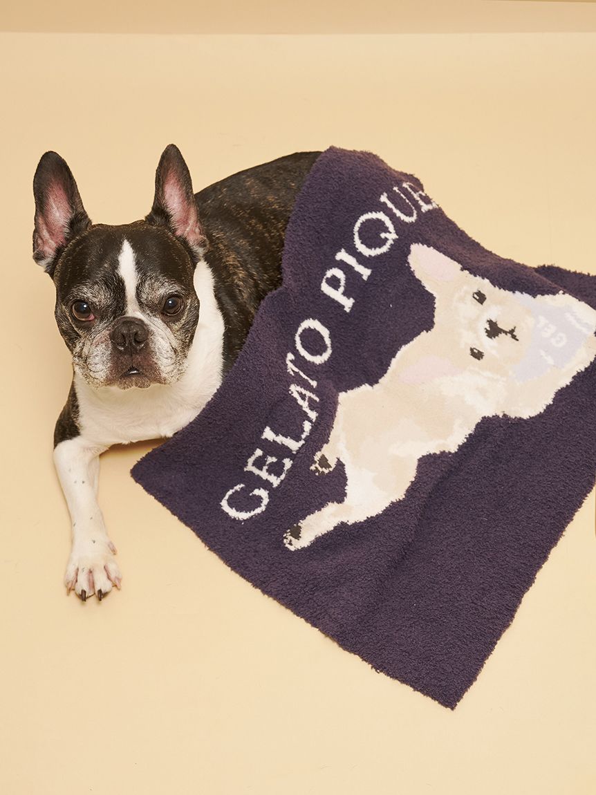 CAT&DOG】ベビモコフレンチブルドッグ柄ブランケット(グッズ)｜ルーム