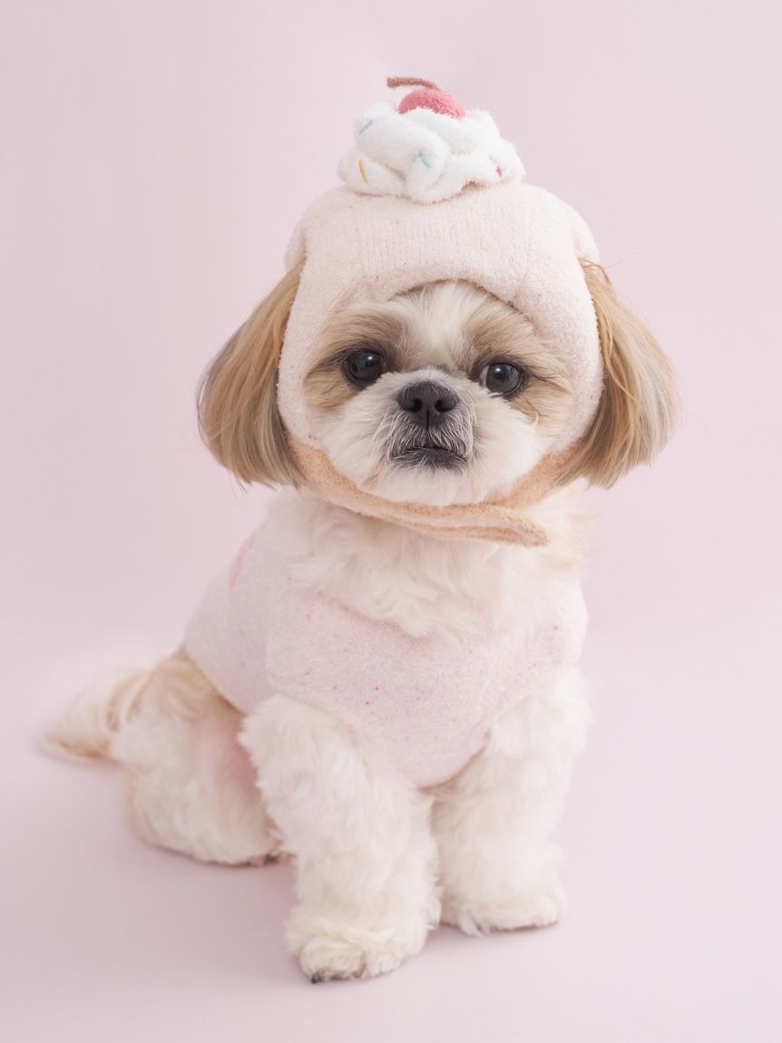 CAT&DOG】【Birthday】カップケーキハット(グッズ)｜ルーム
