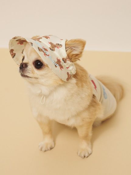 専用。ジェラートピケチワワプルオーバー上下セット 新品未使用タグ付き ジェラピケ ジェラートピケ DOG柄 Tシャツ パンツ上下セット チワワ