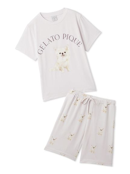【JUNIOR】 DOG柄Tシャツ&ショートパンツセット