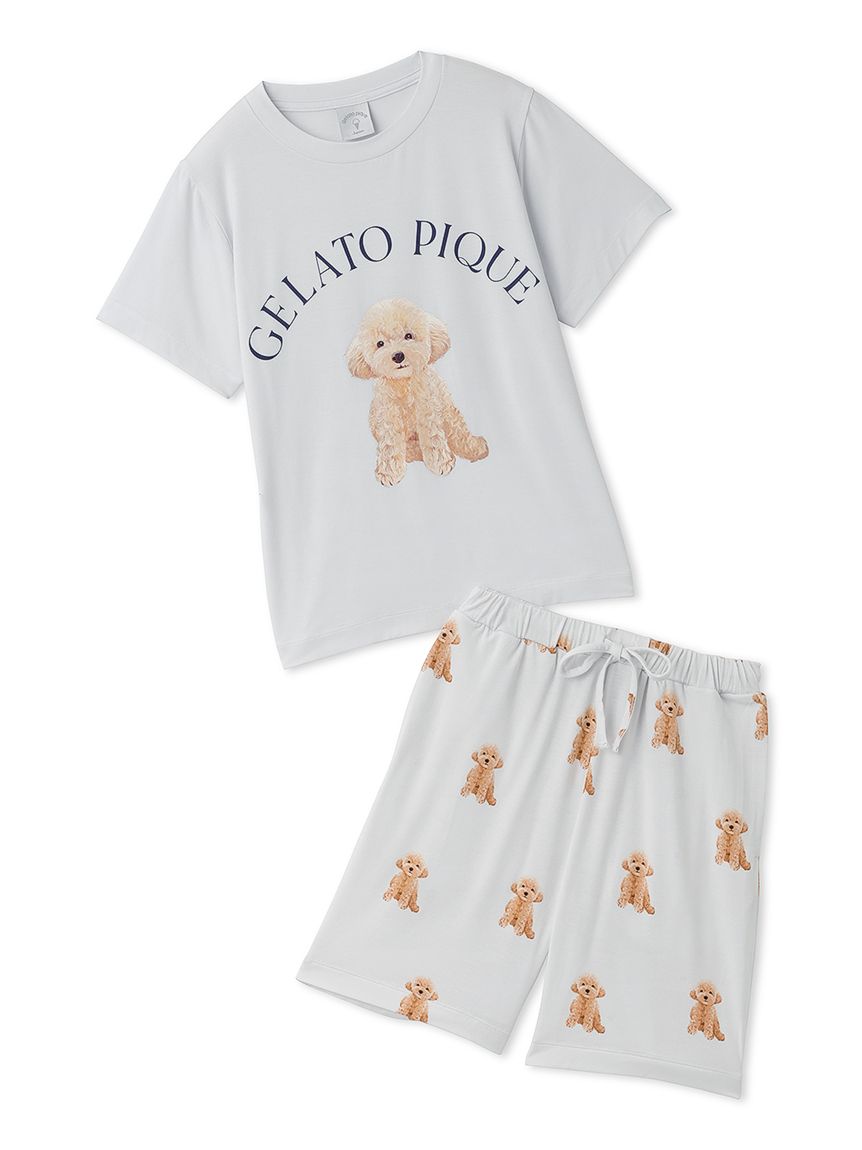 【JUNIOR】 DOG柄Tシャツ&ショートパンツセット(LGRY-130)