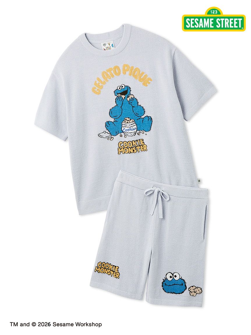 新品未使用【SESAME STREET】総柄プルオーバー&ロングパンツ セサミ 総柄ロングTシャツ ロングパンツ セット ルームウェア