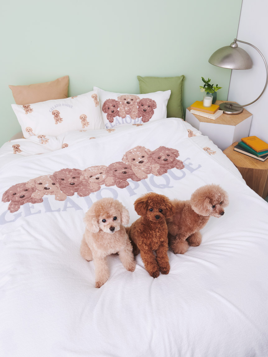 ジェラートピケ Sleep DOG プリント毛布トイプードル