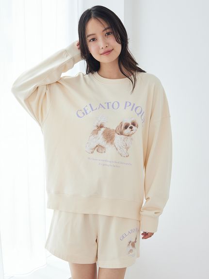 sale☆子犬わたあめ13㎝用☆アウトフィットP＋たっち靴☆４点set☆ UVカット】お散歩ドッグワンポイント裏毛プルオーバー(カットソー・T