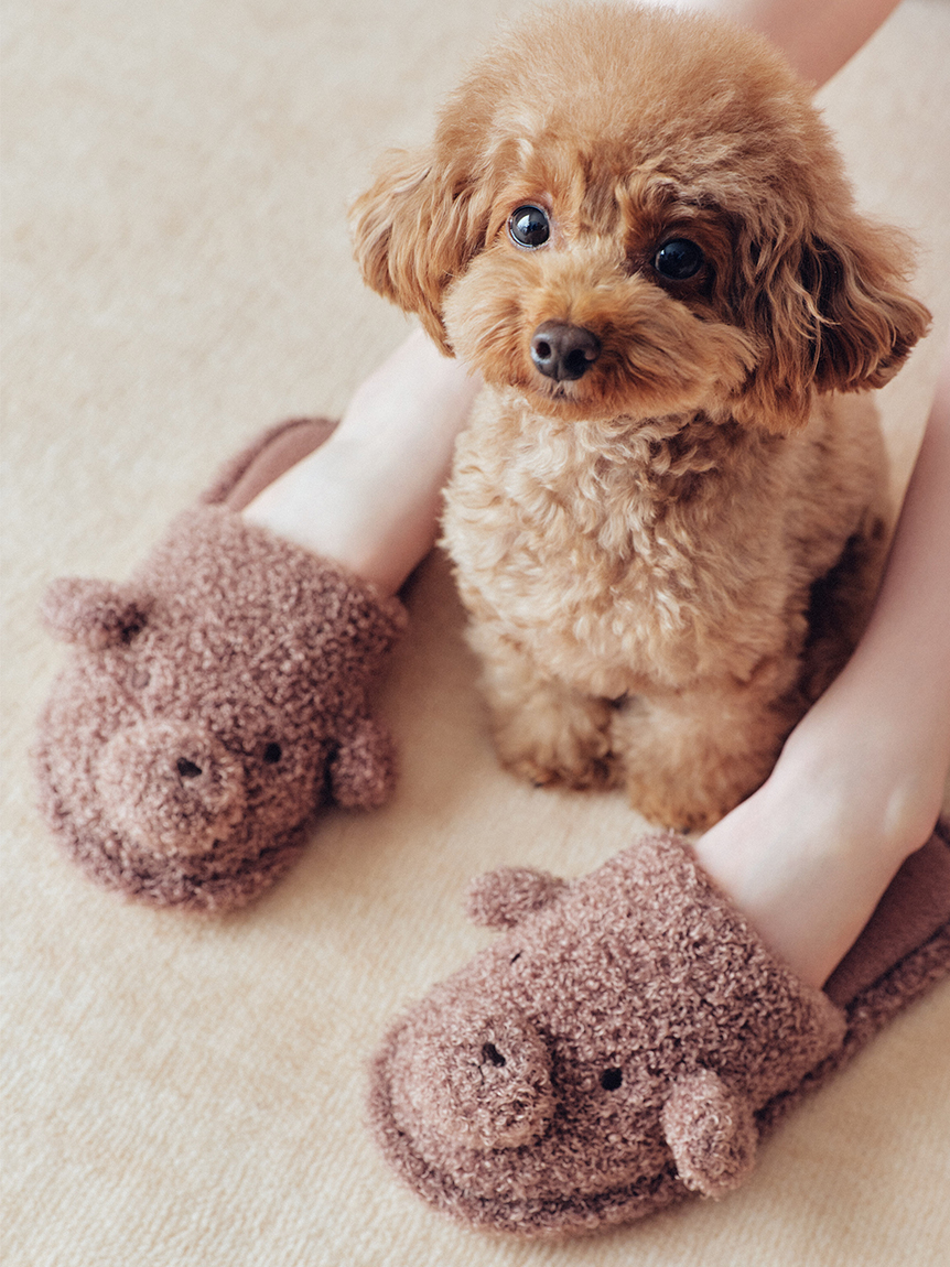 gelato pique ポメラニアン　ルームウェアセット gelato pique（ジェラートピケ）【CAT&DOG】【販路限定商品