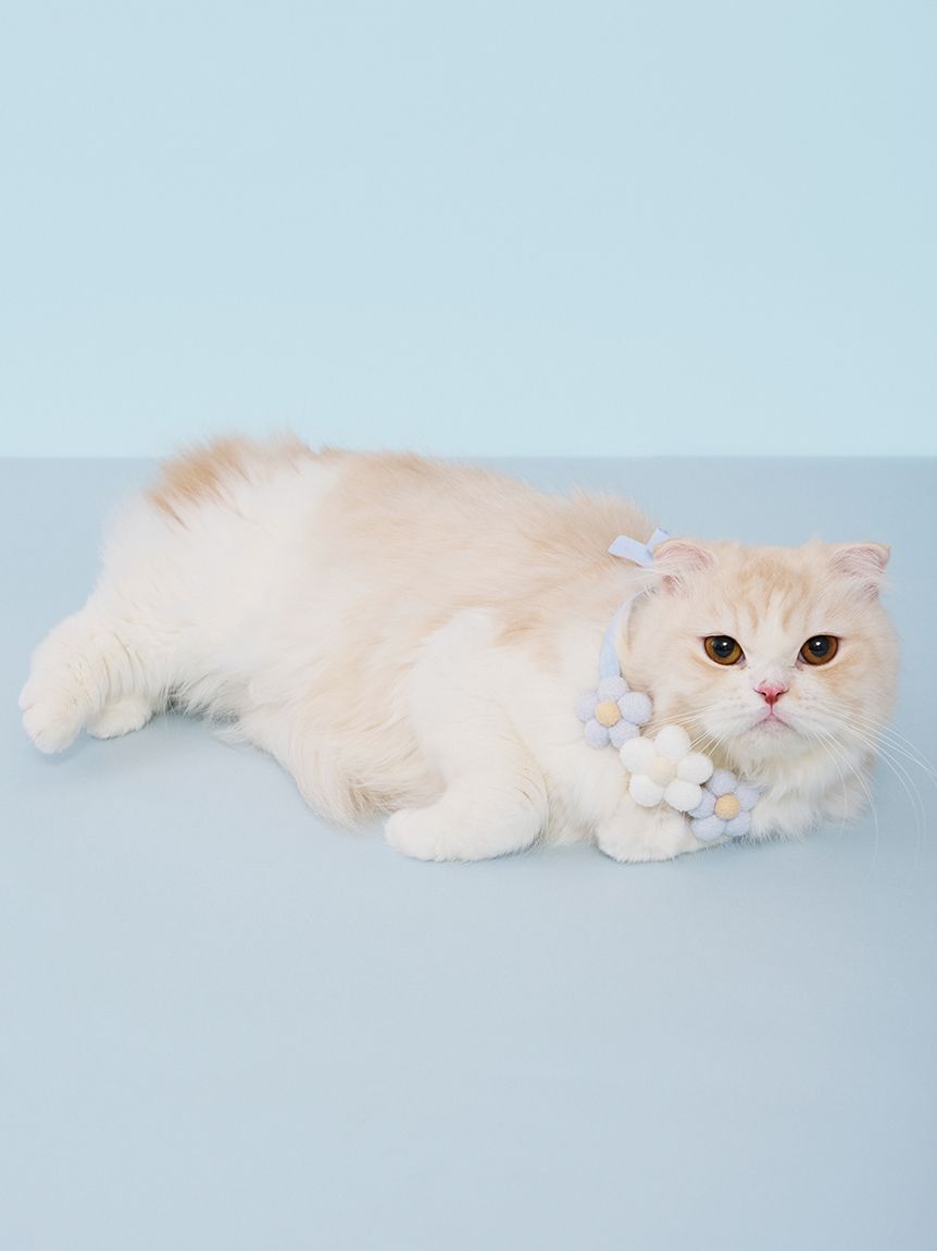 CAT&DOG】スムーズィーフラワーモチーフチョーカー(ハーネス・リード