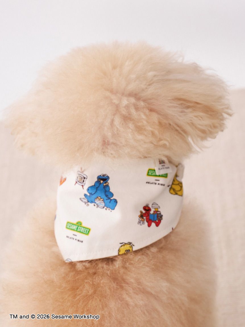 SESAME STREET】【CAT＆DOG】バンダナ(グッズ)｜ルームウェア