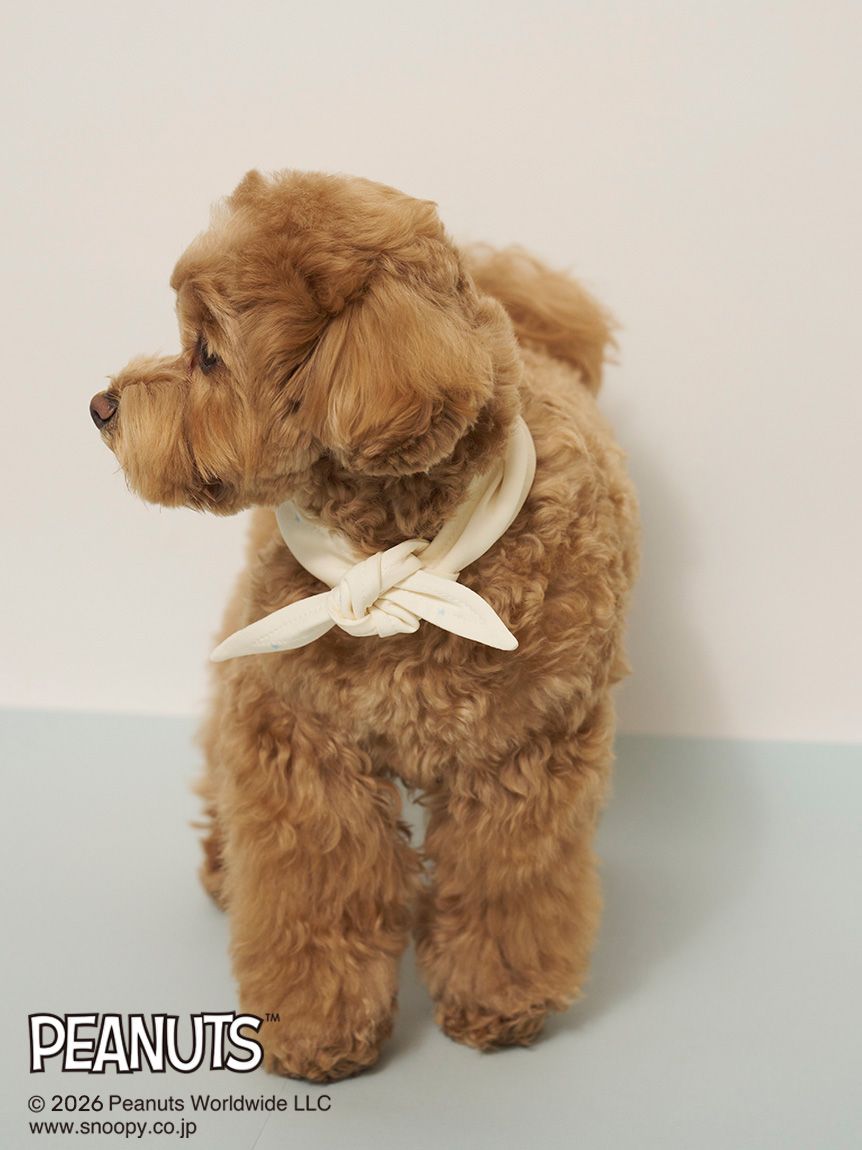PEANUTS】【CAT&DOG】保冷剤入れバンダナ(グッズ)｜ルームウェア