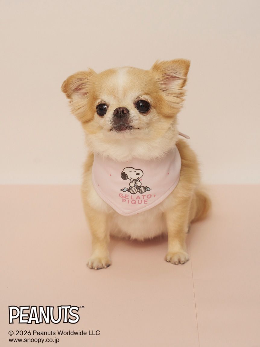 PEANUTS】【CAT&DOG】保冷剤入れバンダナ(グッズ)｜ルームウェア