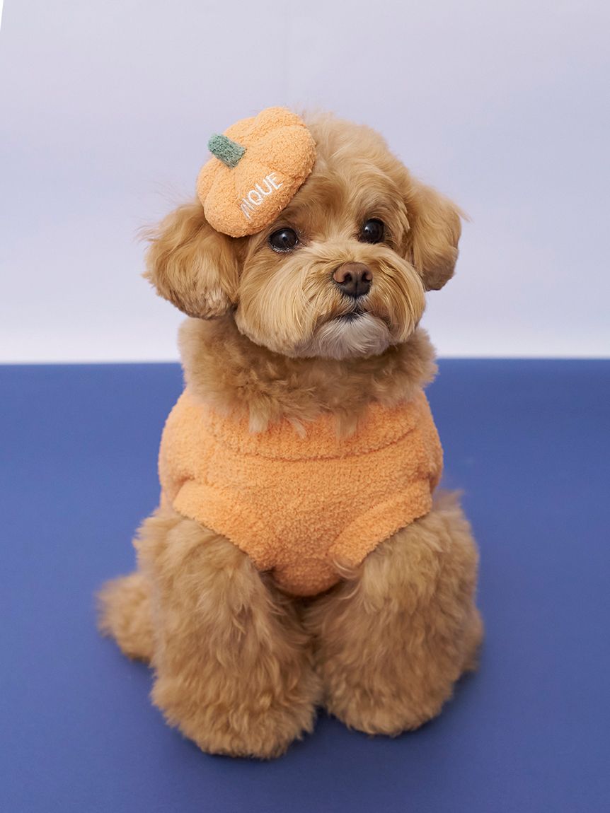 HALLOWEEN】【CAT&DOG】パンプキンヘアクリップ(グッズ)|ルームウェア HALLOWEEN】【CAT&DOG】パンプキンヘアクリップ(グッズ)|ルームウェア