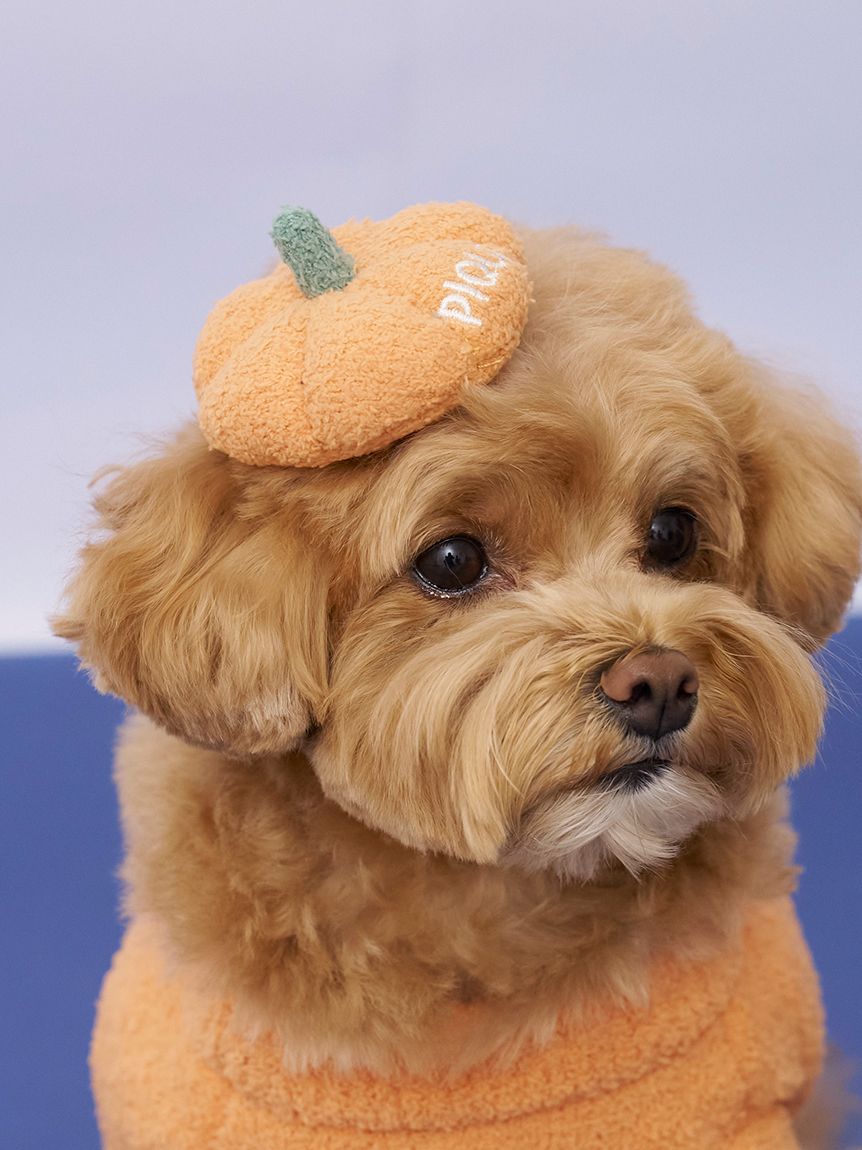HALLOWEEN】【CAT&DOG】パンプキンヘアクリップ(グッズ)｜ルームウェア