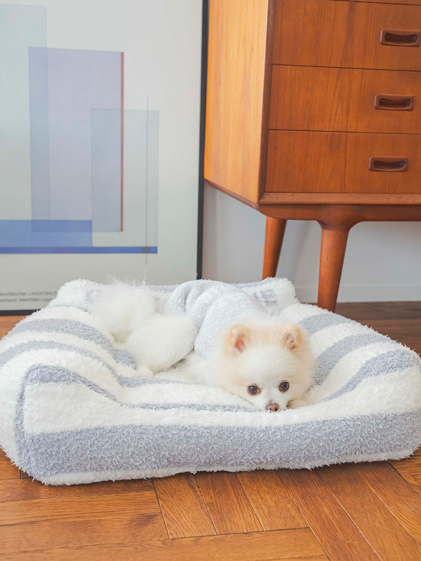【CAT&DOG】【販路限定商品】ジェラートソファ型ベッド | PAGG229501