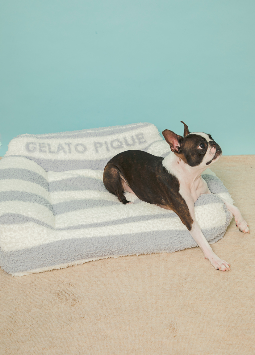 CAT&DOG】【販路限定商品】ジェラートソファ型ベッド(ベッド・ハウス 