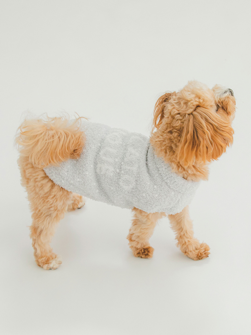 CAT&DOG】【販路限定商品】ベビモコネップdogプルオーバー
