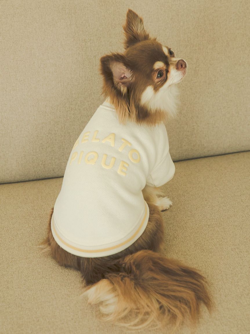 【CAT&DOG】裏毛プルオーバー | PAGG251582