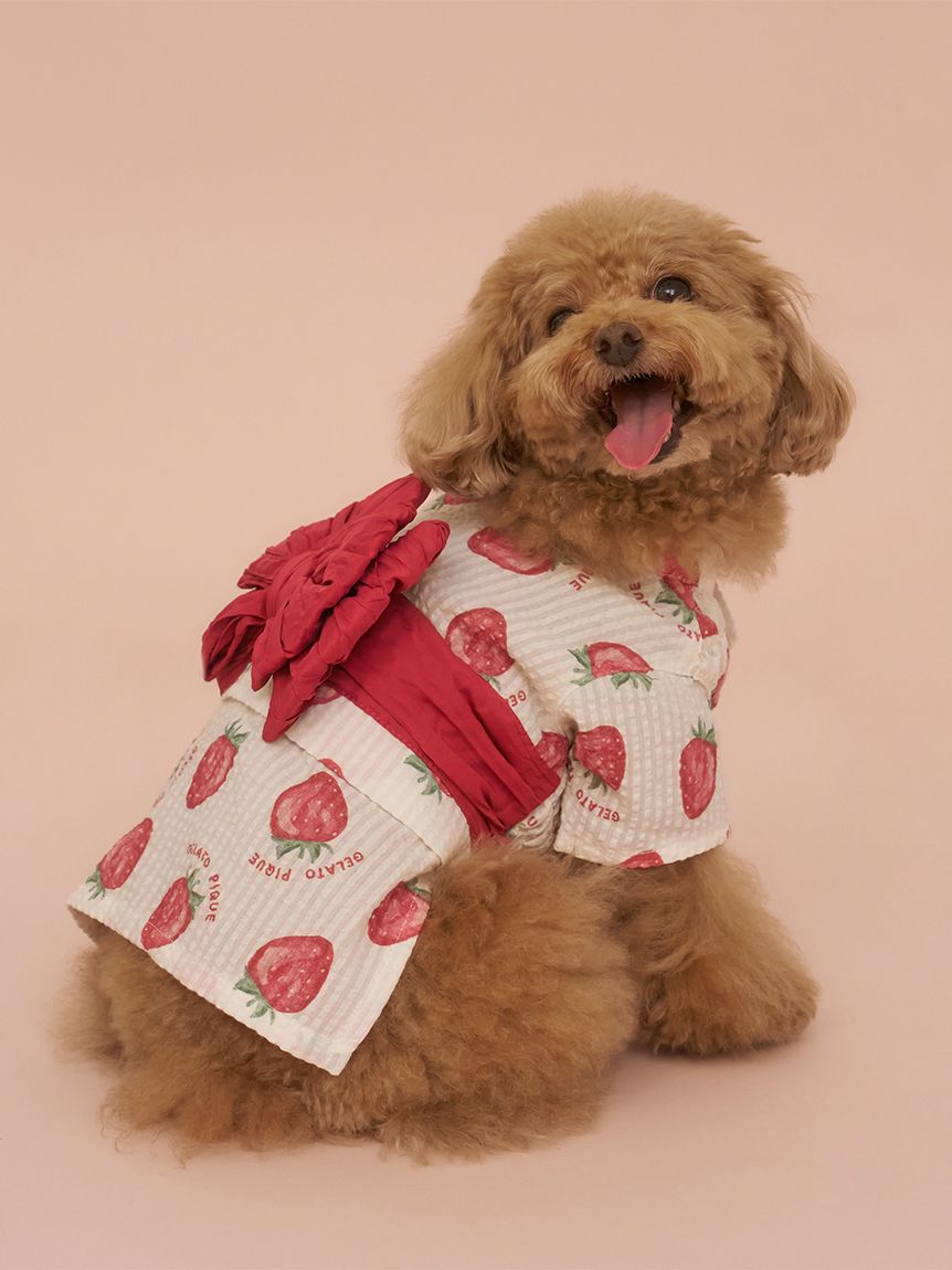 新品未使用 タグ付きGELATO PIQUE コーギー刺繍ルームウェア CAT&DOG】【販路限定商品】スムーズィー2ボーダーdogパーカ