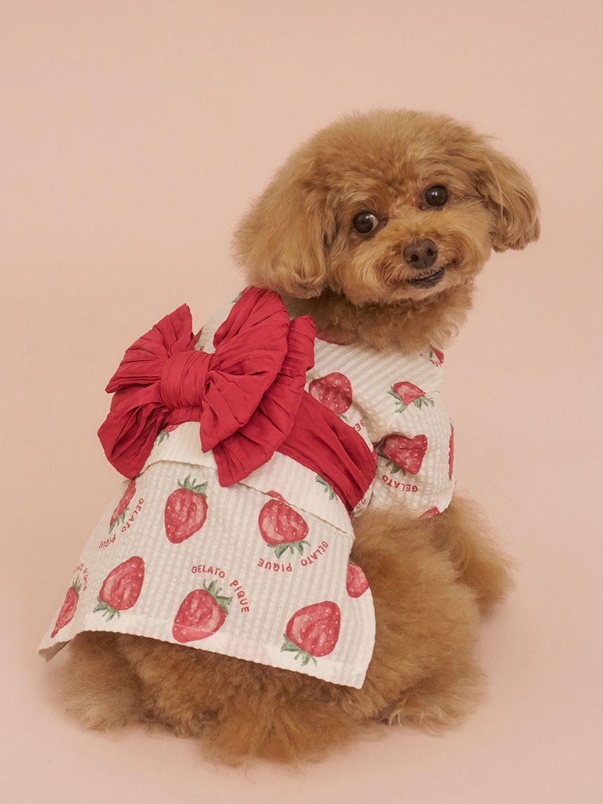 gelato pique（ジェラートピケ）【CAT&DOG】【販路限定商品