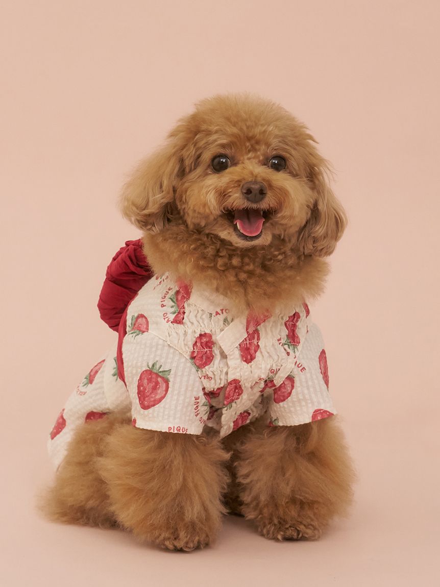 ジェラートピケ【CAT&DOG】浴衣　2点 CAT&DOG】浴衣（ペット服）｜GELATO PIQUE CAT&DOG（ジェラート