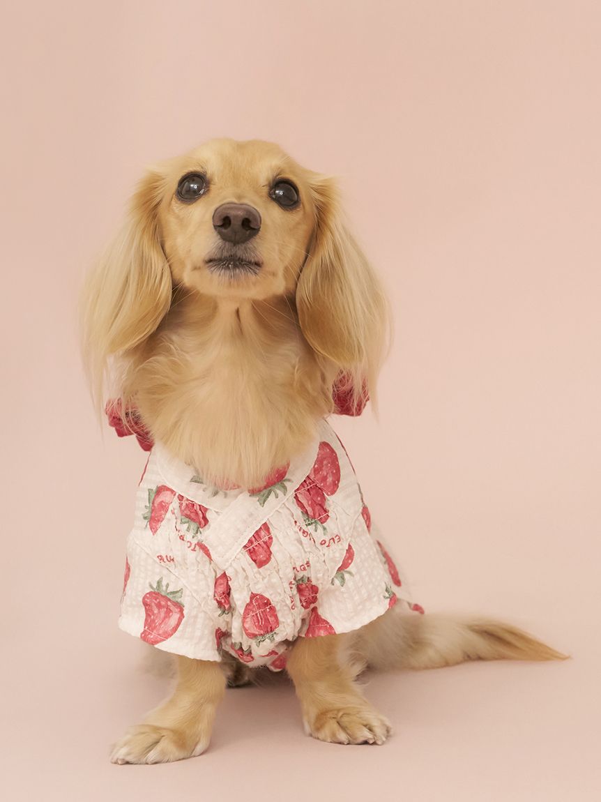 オリジナル 生地 パネル生地 ハンドメイド素材 犬柄 ヨーキー