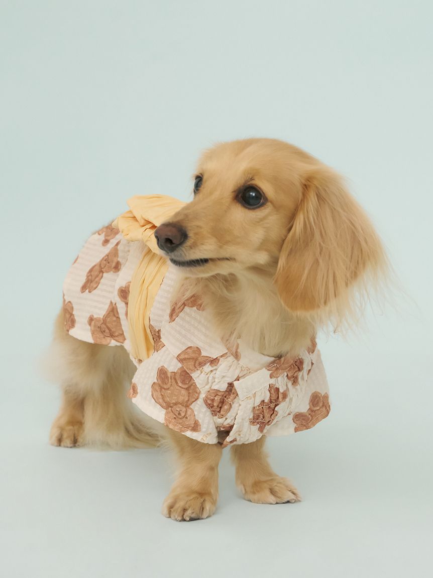 gelato pique - ジェラートピケ 上下セット ルームウェア DOG柄