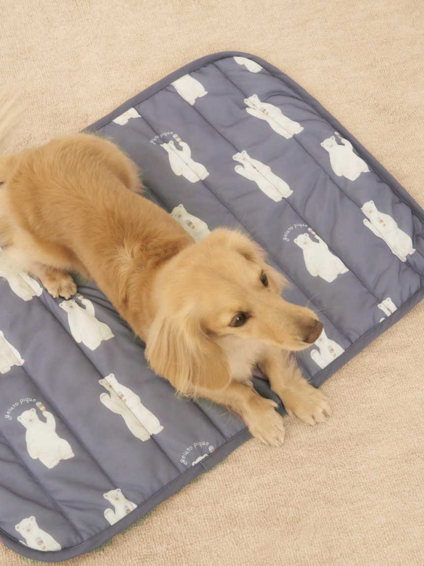 CAT&DOG】【接触冷感】シロクマ柄COOLINGマット(ベッド・ハウス