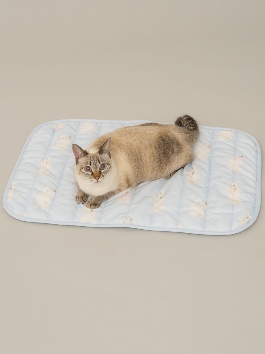 ＊新品＊ 接触冷感 しろくま アイス ジェラピケ 上下セット CAT&DOG】【接触冷感】シロクマ柄COOLINGウェア(ウェア)｜ルーム