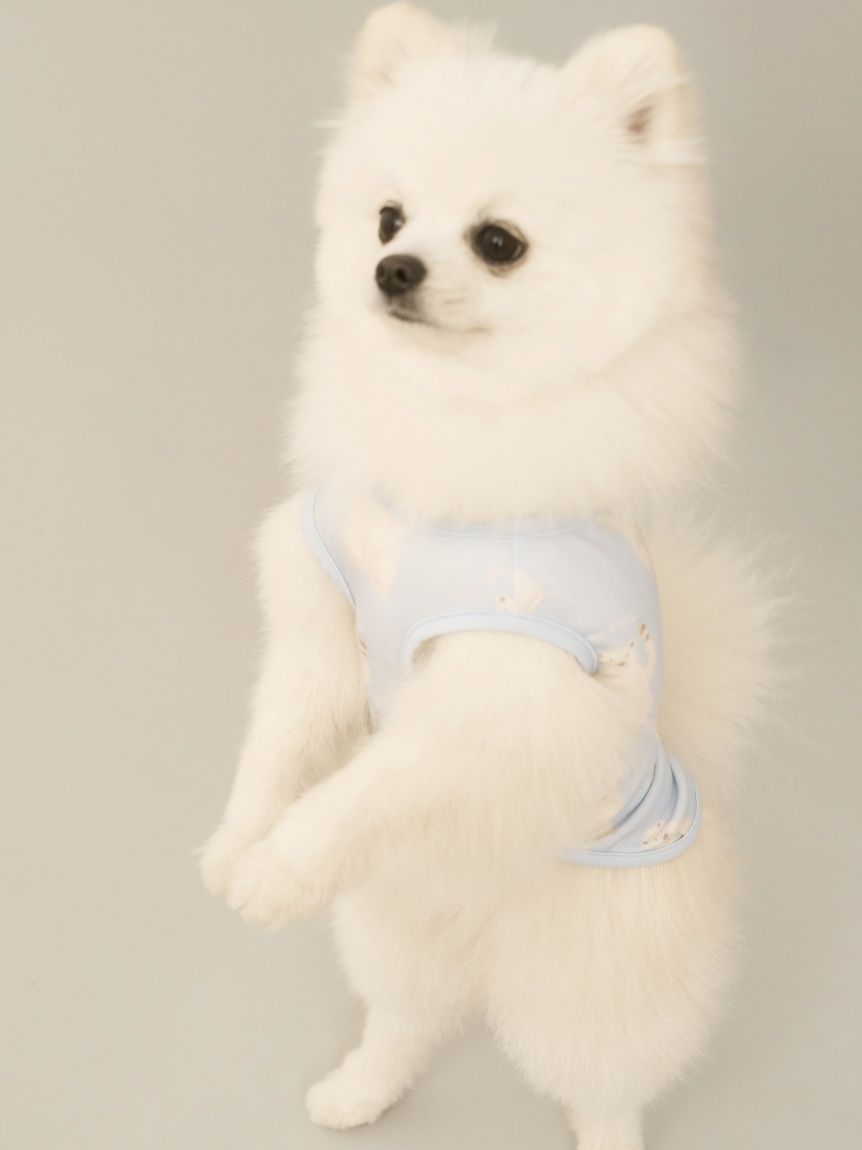 CAT&DOG】【接触冷感】シロクマ柄COOLINGウェア(ウェア)｜ルーム