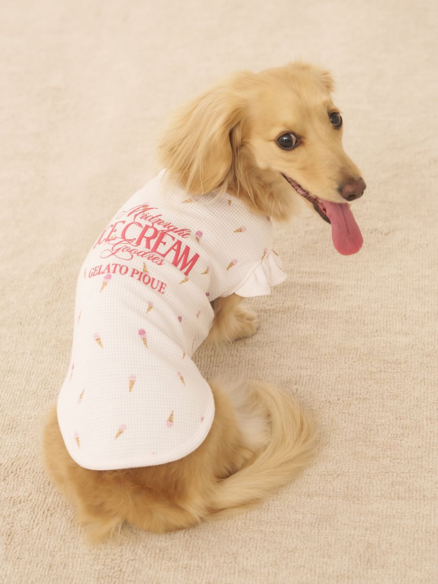 CAT&DOG】ダックスフンドサイズアイス柄フリルワッフルプル