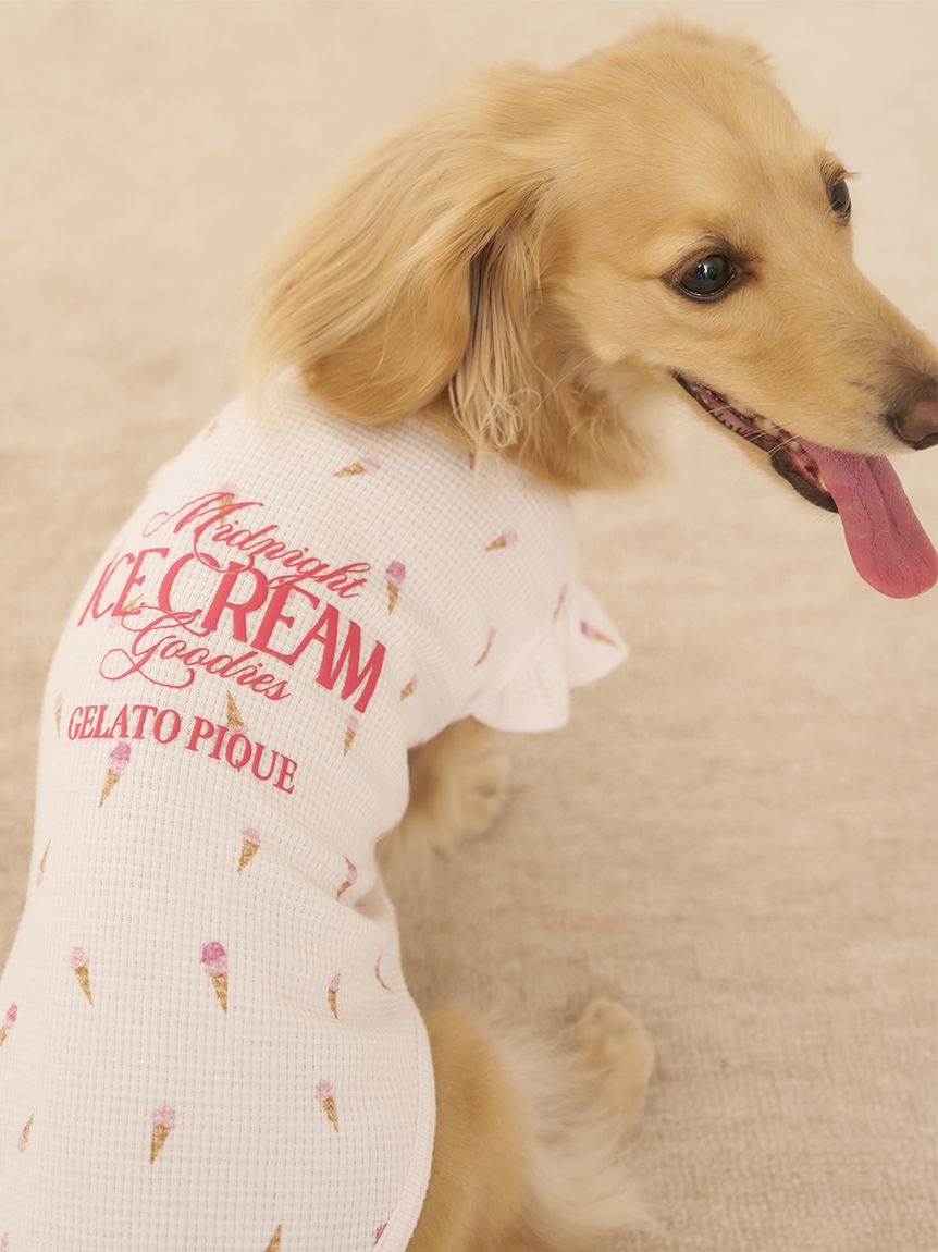CAT&DOG】ダックスフンドサイズアイス柄フリルワッフルプル