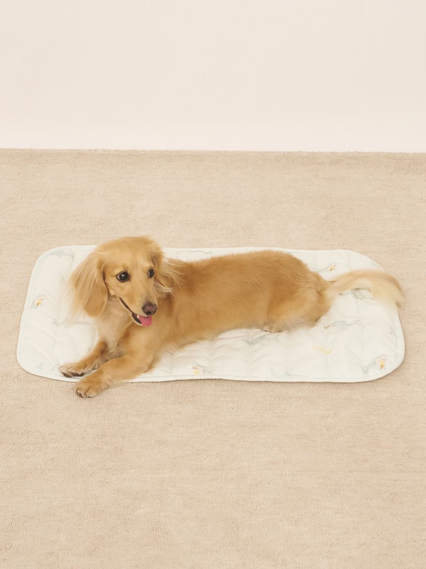 CAT&DOG】【接触冷感】SHARK柄COOLINGマット(ベッド・ハウス