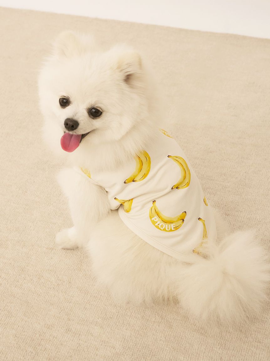 ジェラートピケ 上下セット パジャマ ルームウェア DOG柄 チワワ