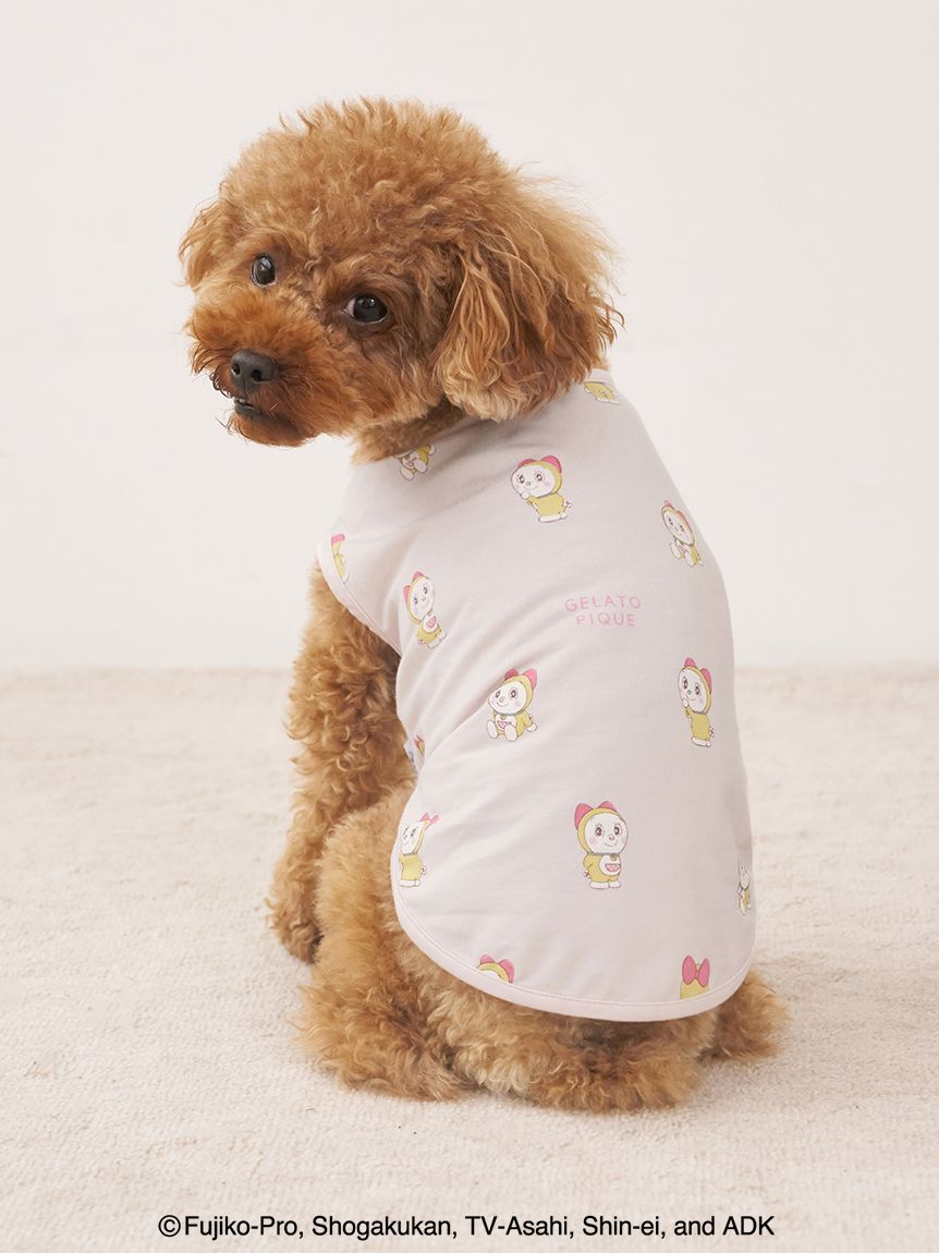 新品　gelato pique DOG柄　ルームウェア　上下セット　パジャマ ルームウェア パジャマ ジェラートピケ 上下セット dog柄