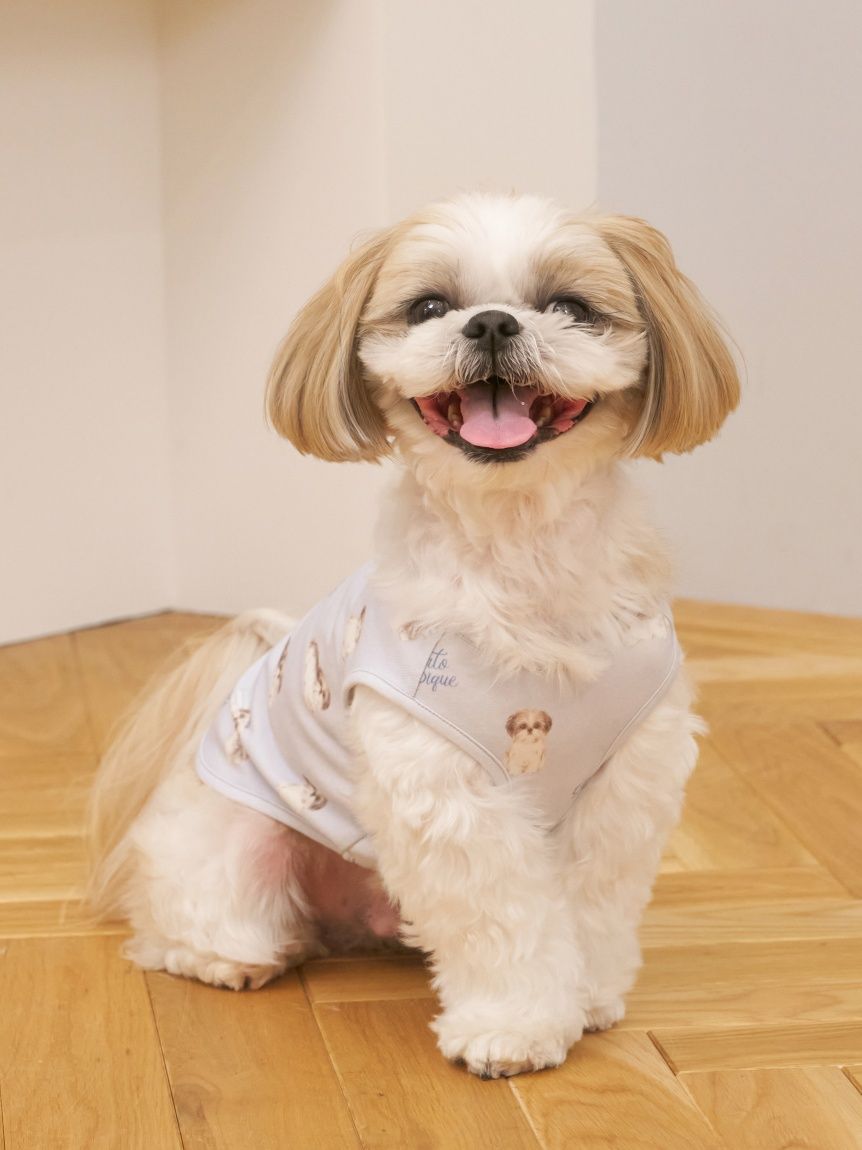 ジェラートピケ⭐︎シーズーワンピ ジェラートピケ⭐︎シーズーワンピ - メルカリ