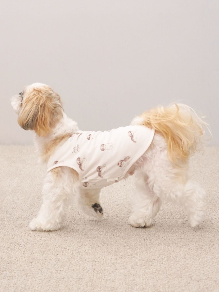 店舗限定カラー　シーズー　上下セット 店舗限定カラー シーズー 上下セット CAT&DOG】シーズー柄プルオーバー