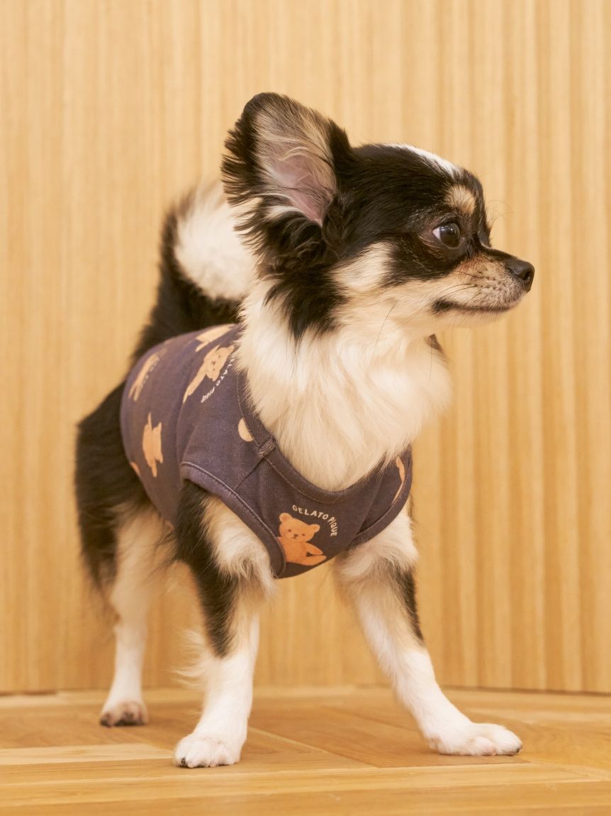 新品タグ付き　ジェラートピケ　パウダーモチーフジャガードプルオーバー　クマ　ベア モチーフジャガードプルオーバー（プルオーバー）｜gelato pique