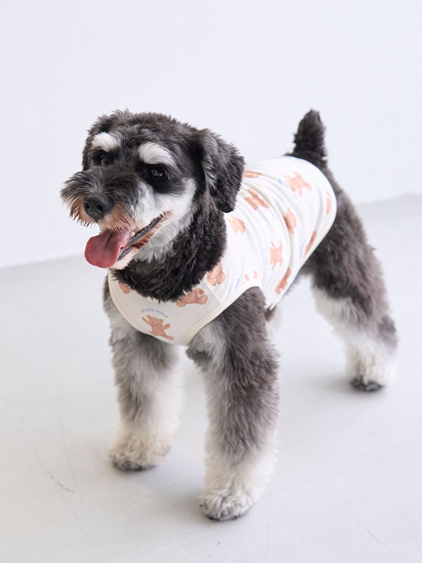 ジェラートピケ【CAT&DOG】シュナウザー柄カットソープルオーバー オフィシャルサイト・MASH STORE限定】【CAT&DOG】シュナウザー