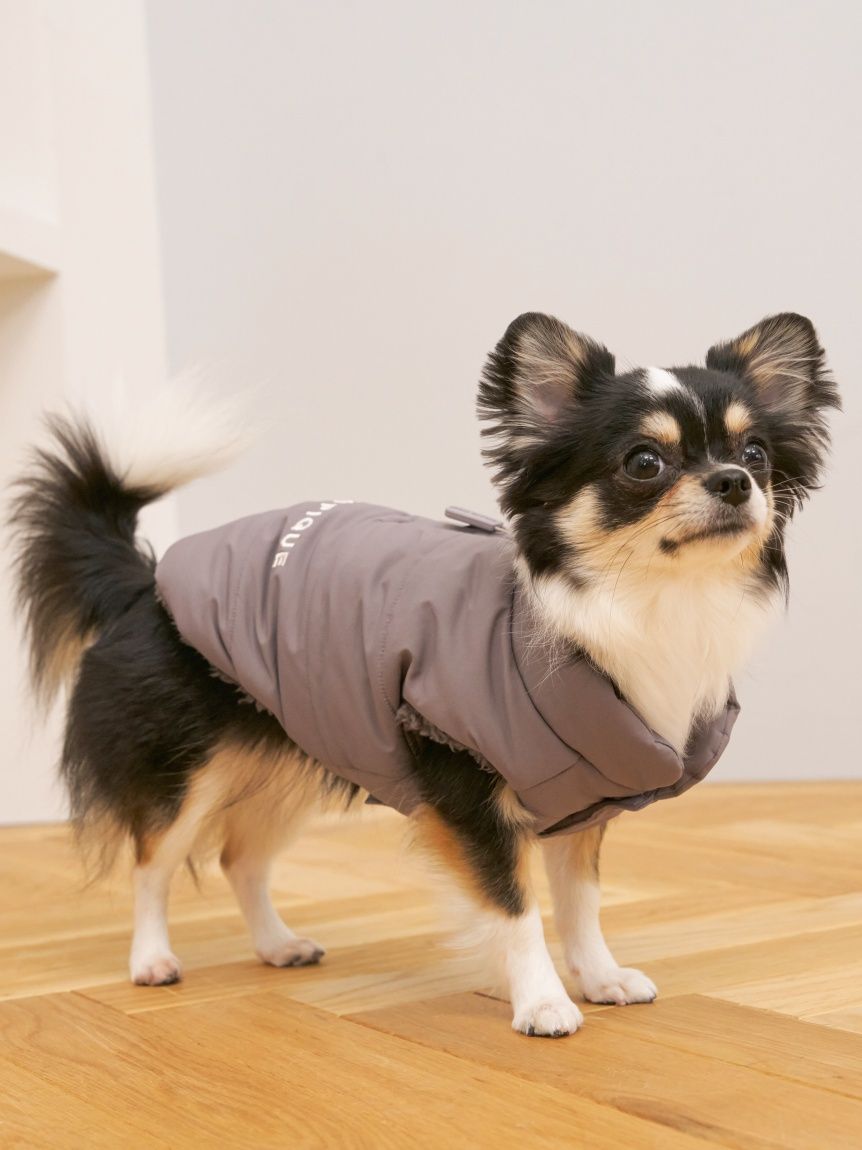 ジェラートピケ 中綿ベスト ブルーカラー　Lサイズ gelato pique（ジェラートピケ）【CAT&DOG】【販路限定商品