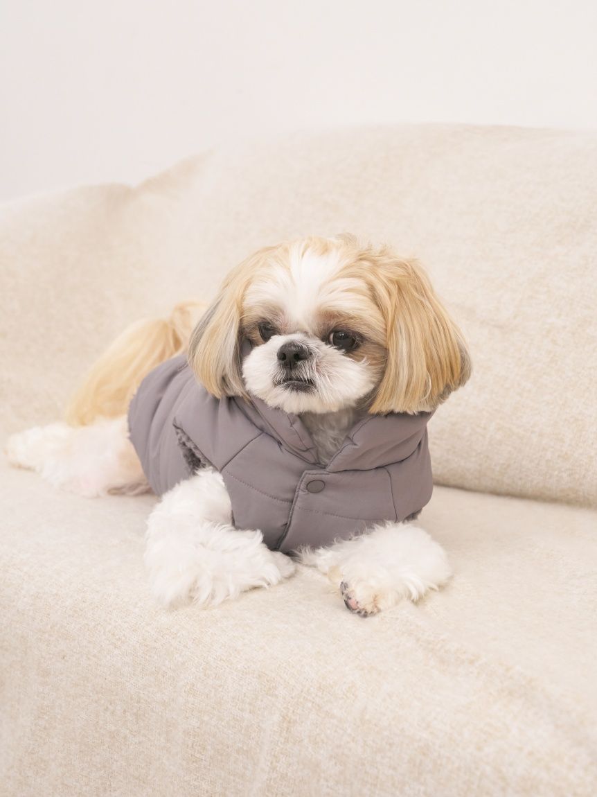 CAT&DOG】XL・XXLサイズ中綿ベスト(ウェア)｜ルームウェア・パジャマ